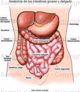 fisioterapia madrid 2