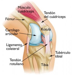 fisioterapia barrio salamanca