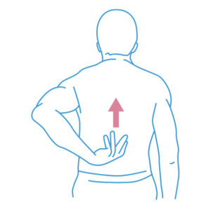 Figura - Movimiento del Brazo